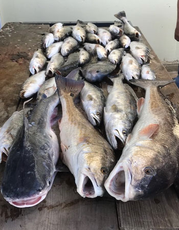 Inshore Fishing, New Orleans, LA